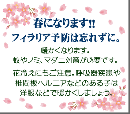 �����̋G�߂̌䒍�ӁB